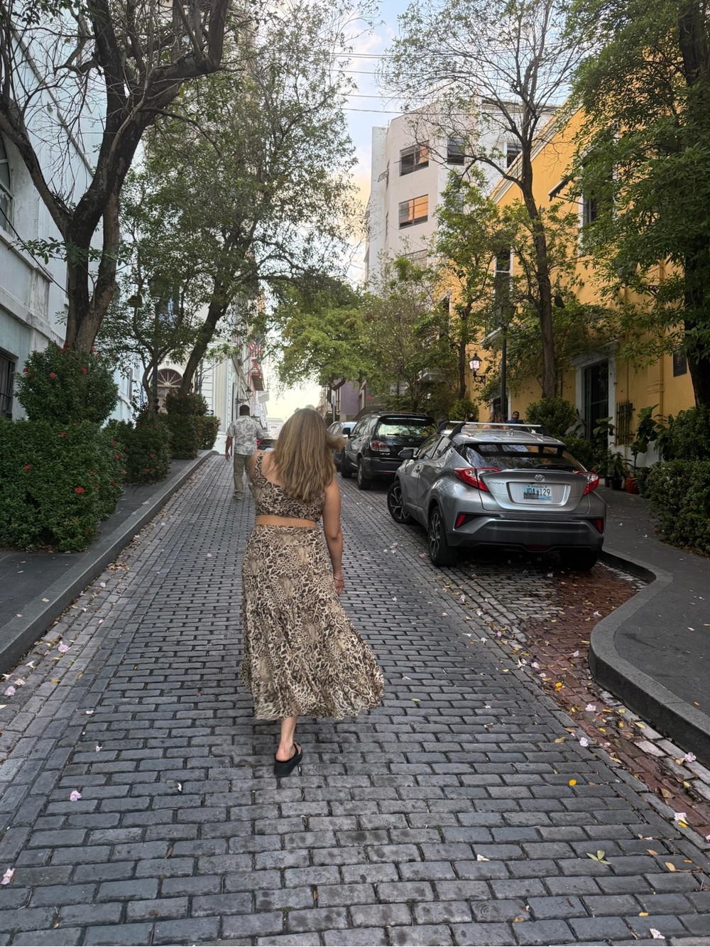 Leopard Print Maxi Dress- Women's Neutral Animal Print